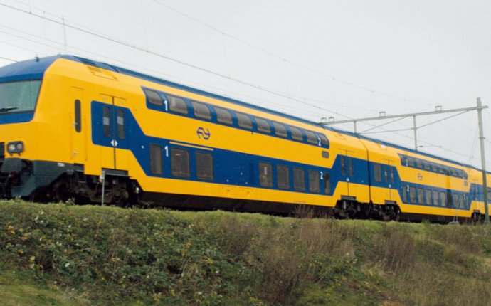 Train from Amsterdam to Antwerp - Tulips in Holland