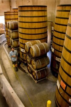 New Belgium's foudre forest in Fort Collins (provided by New Belgium).